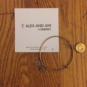 Alex + Ani Bracelet
